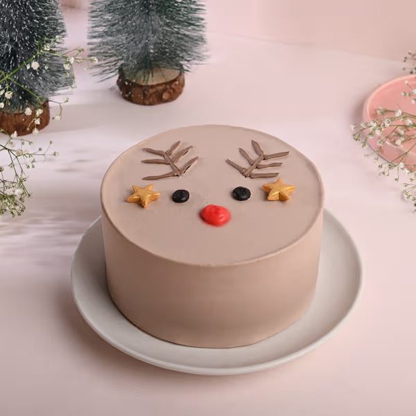 Reindeer themed mini cake