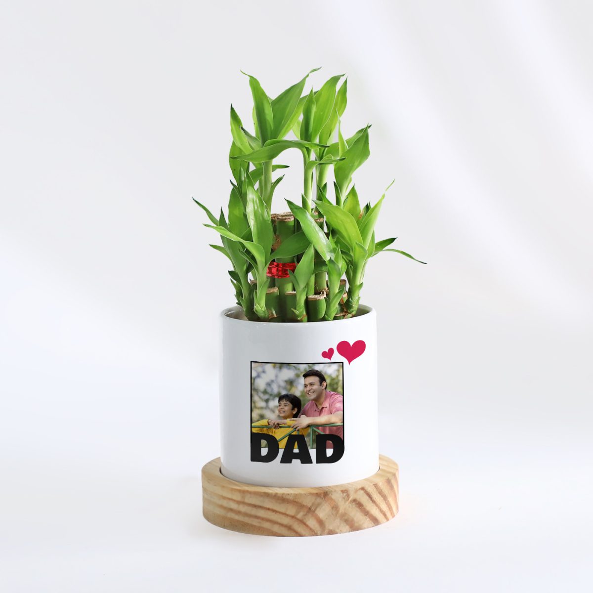 father's day personalized cup with bamboo plant